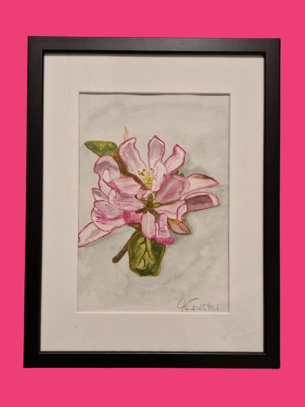 Open up Spring Flower pink